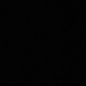 Meet your Posher, Lexi